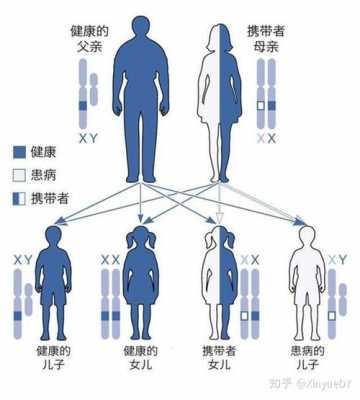 遗传病有多少种（遗传病有多少种 最新）