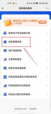 医疗保险交费查的简单介绍