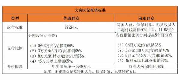 大病医疗保险大病（大病医疗保险大病界定）